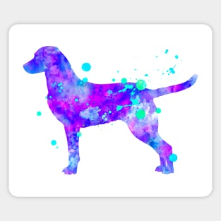 Chesapeake Bay Retriever Watercolor Painting Sticker